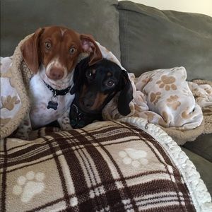 Meet your Posher, Stefanie